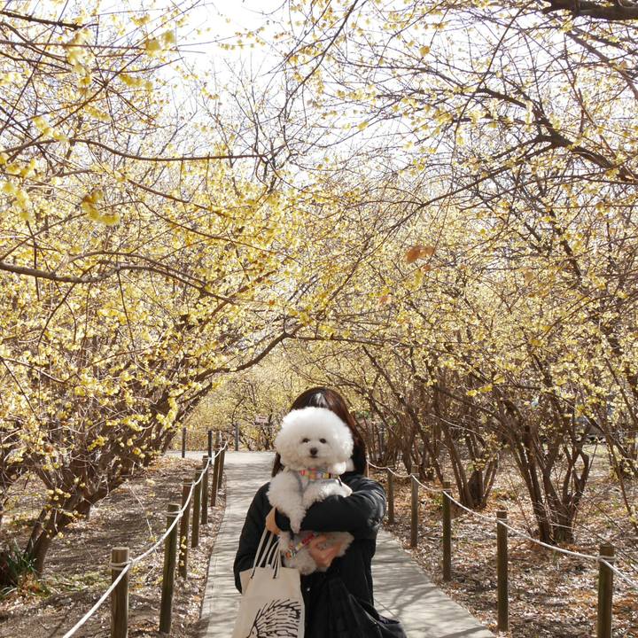 A2c718ce 08ba 444a b9f5 e3ed18069408 1516598636548