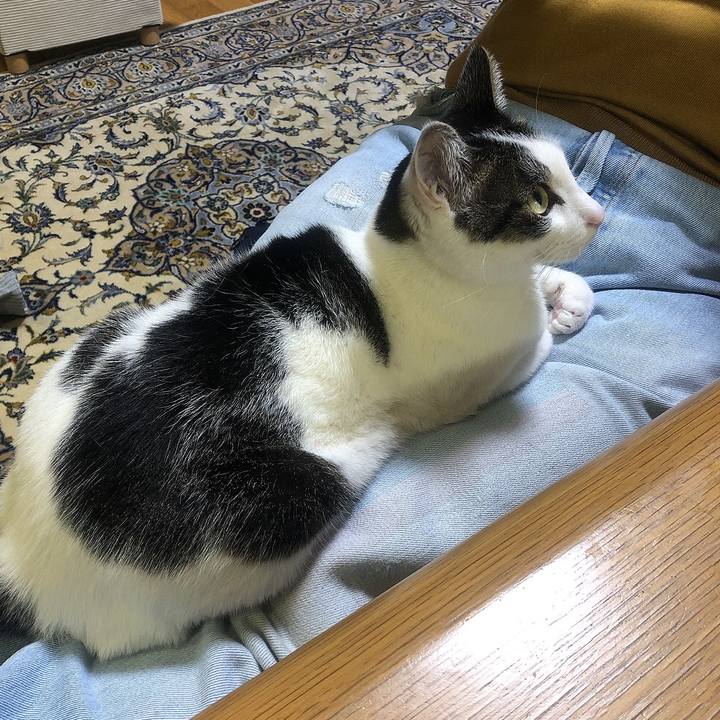 A2c7b2bb 502a 472c 85dc 6b3af7451843 1678370463646