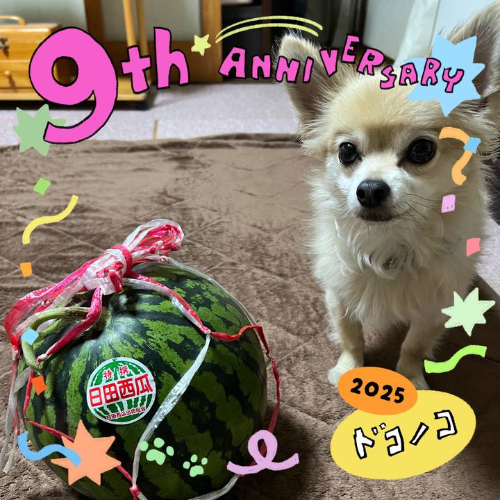 A2c7d4d7 9aef 416b 97e5 db8ffcf6d233 1749206014870