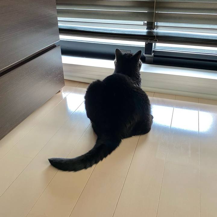 A2c7fa30 fa90 4445 a13a 17cf2e2e5ed2 1658462200354