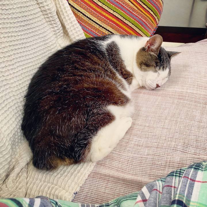 A2c7fe0f 15da 4e98 8226 1e4818b219d5 1596174618902