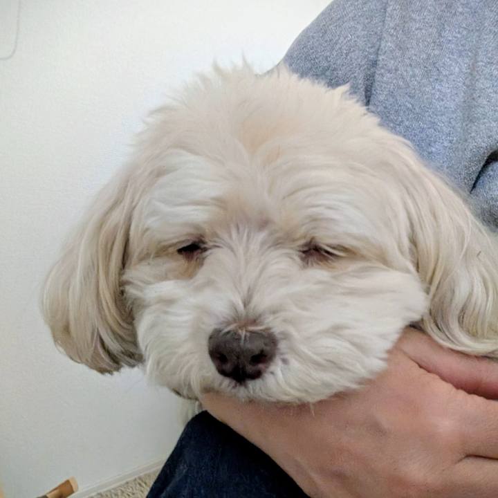 A2c82370 73fa 4409 b58b 6e6b767423e7 1770291884215