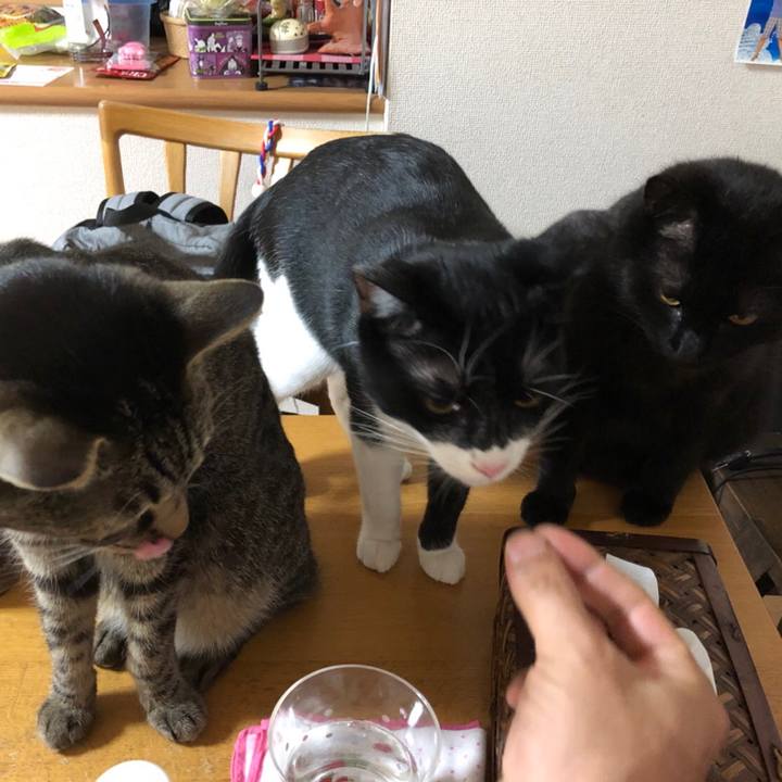 A2c88127 6e17 4883 876b 3afa9ed0c119 1526988569550