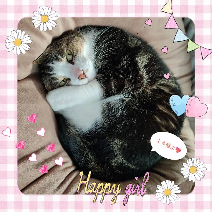 A2c8dd6d a057 4a3c 9b96 aca24185957a 1683687362503