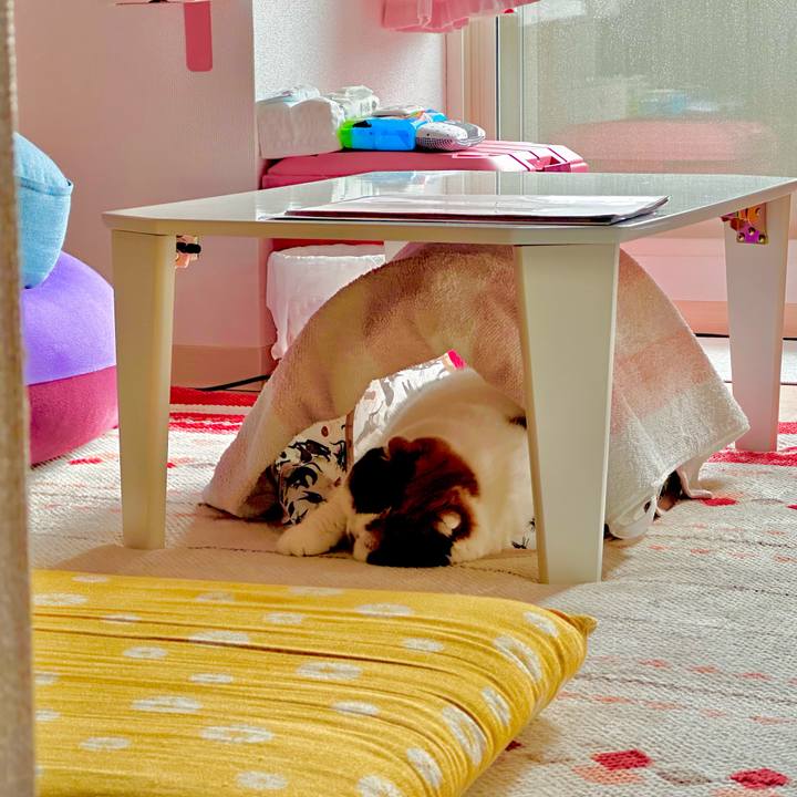 A2c91084 e6ab 42c5 800d f51cab71c761 1701134714519