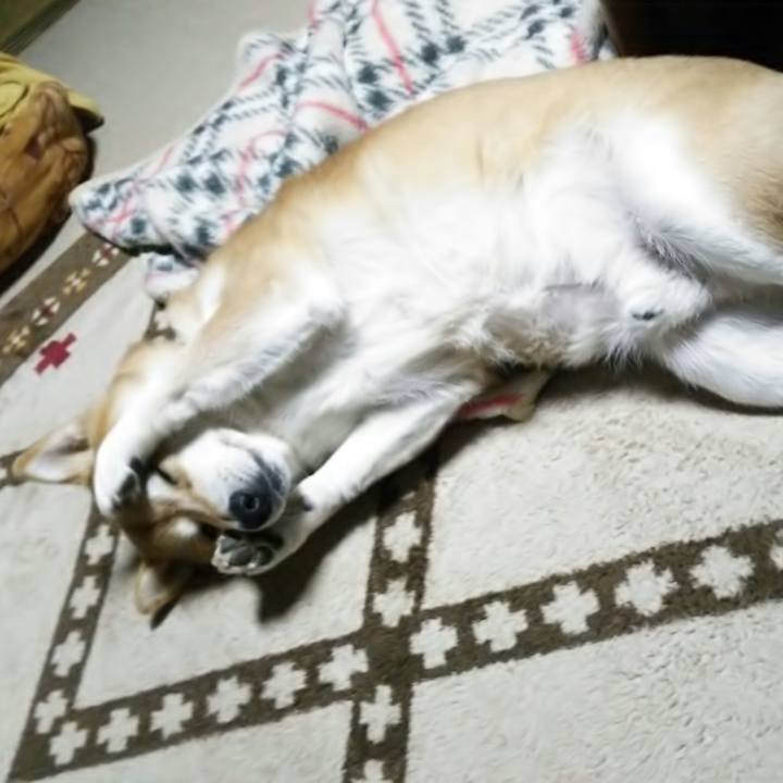 A2c921ec 0475 4976 b4f9 0efbe346d2cb 1574241230644