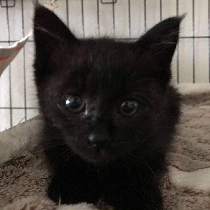 A2c94a2f cc3c 4c52 a2d0 2ce629f91192 1657248097403