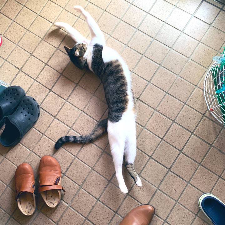 A2c9681b ab8a 4c50 8041 7745037c5a39 1575038698398