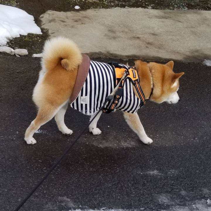 A2c968b8 5e2e 4f62 b837 149959db19d8 1643609180513