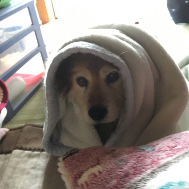 A2c97747 f99c 45f0 861b 4effa4bda1ff 1594023232190