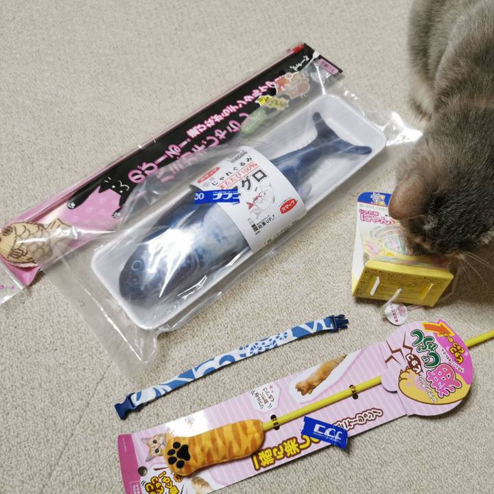 A2c97c55 cfd5 4a2e 8bf1 b0199f563224 1623720232760