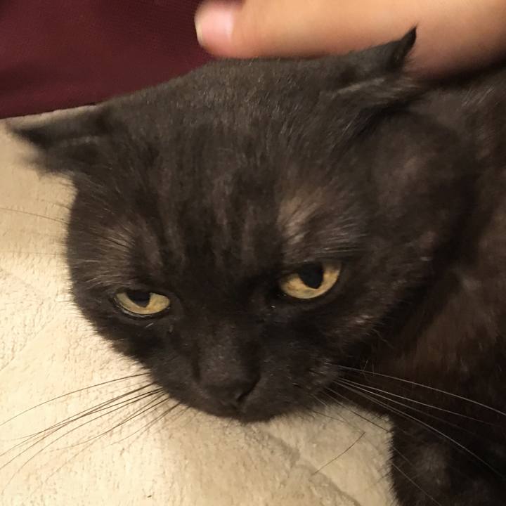 A2c9bcb4 9ca3 4b96 a9ea ca6912c5ada0 1525356586888