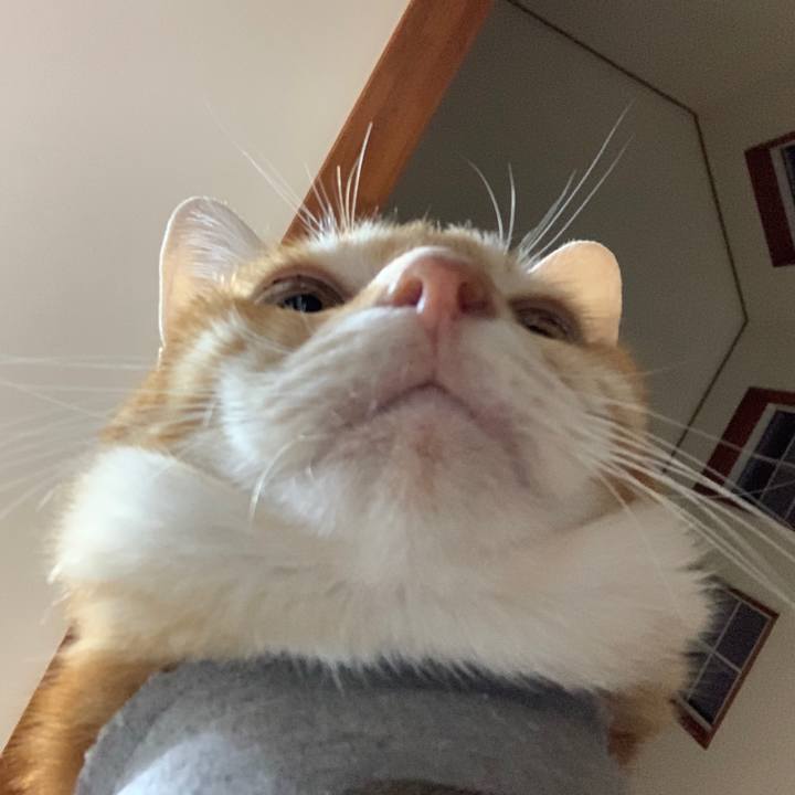 A2c9c97c 32d5 48e8 a9cd db916e9b97f6 1572168959177