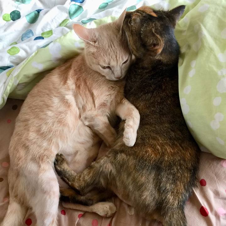 A2ca1479 2f8f 4ac3 9cd5 c39728894dac 1594192609315