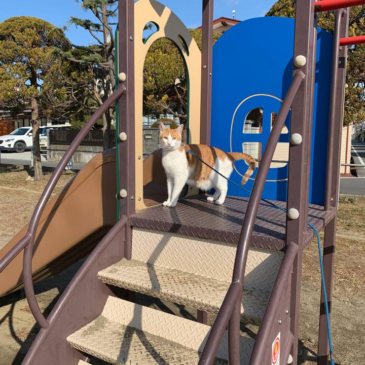 A2ca3d8e df0e 4c4e b50d 96992cf9e3b6 1582504076713