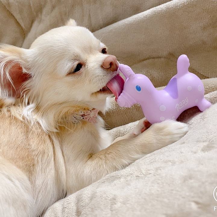 A2ca41fd d7f2 498a 97a5 4f6363637008 1615101622286