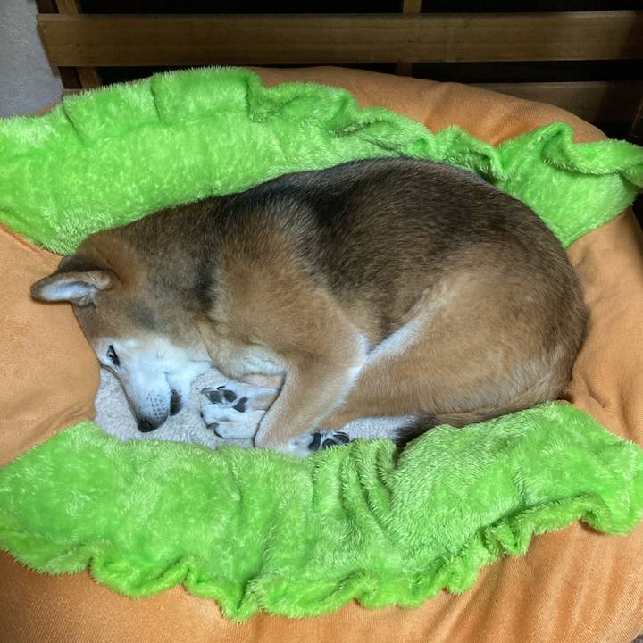 A2ca5a88 0ea3 42c0 9aa5 119d02f42141 1763465513948