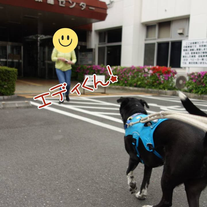 A2ca8596 32ec 4d00 8cd8 3bb6273171ee 1682335256926