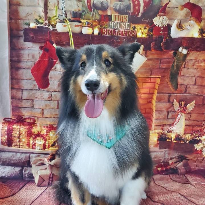 A2cace40 19bd 4ae2 a92c 6e1028fb779e 1765358772169