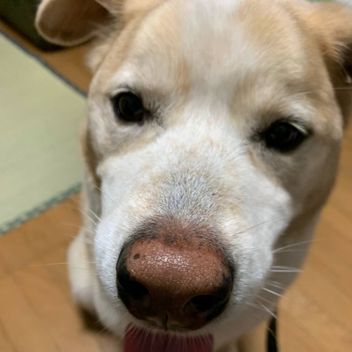 A2caf3c9 0f62 46a0 bccd e3bf87bdc341 1625309313868