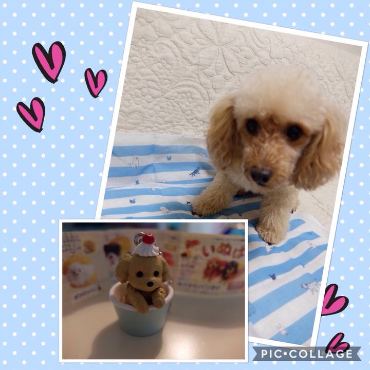 A2cb0c71 7038 4d88 a22e c822924e4895 1537655939046