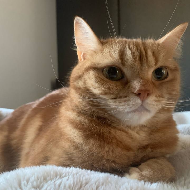 A2cb2b68 e08c 4621 b64b 5c52a29434e8 1675901535755