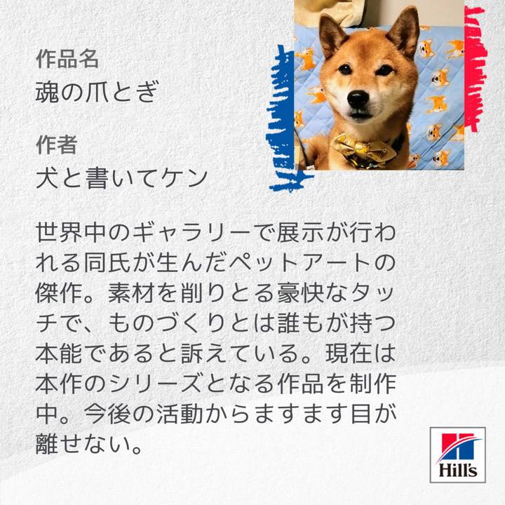 A2cb3bbd bc59 4f13 896d 80f9dc4ddf53 1600772908118