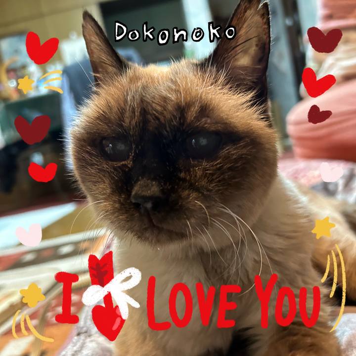 A2cb90ab 4c05 437f a093 0014251121f5 1707263858538