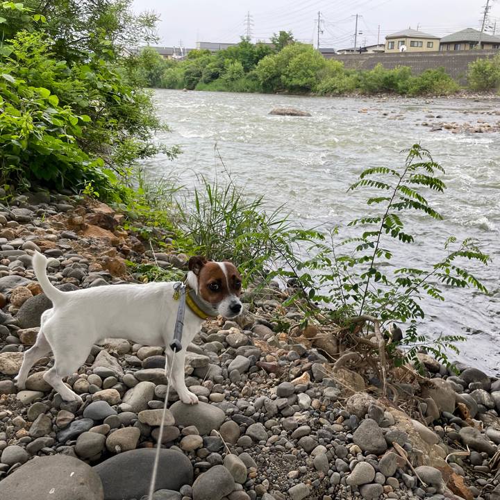 A2cc48e7 d5c8 4cae 8c4c ac2b9d61725d 1655560396261