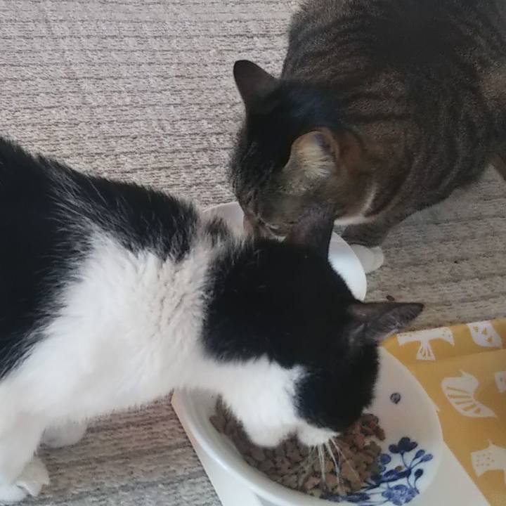 A2cc54ec 0a34 4b50 b7c6 623b806c1d59 1611845213133