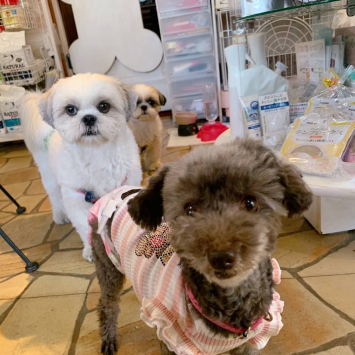 A2cc56cf fb1b 48a3 bb31 fe4201b98eab 1633848001125