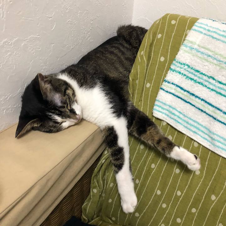 A2cc5f82 2dff 4b84 8da0 0d13df29c2f0 1535801288580