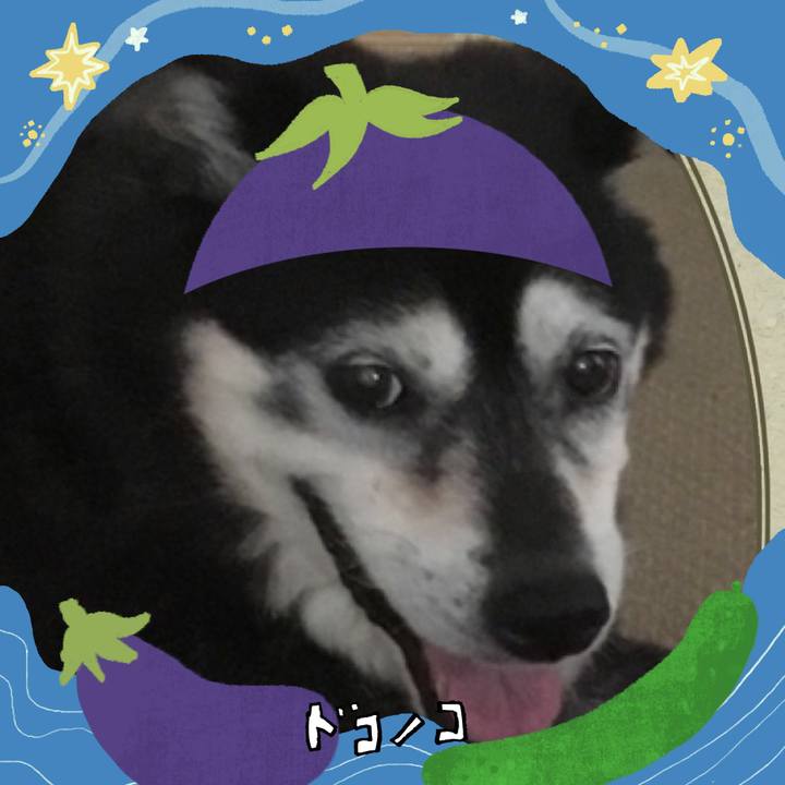 A2cc990f 545e 46be bdf1 ad56e3e266d6 1755125855304