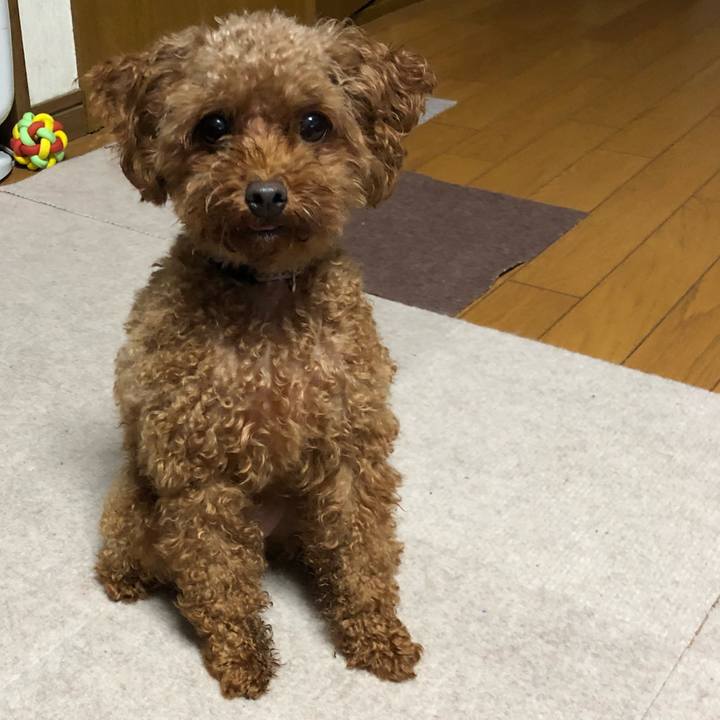 A2cca9c4 4ce1 49da 9a39 bb791d6d2fe1 1537012959105