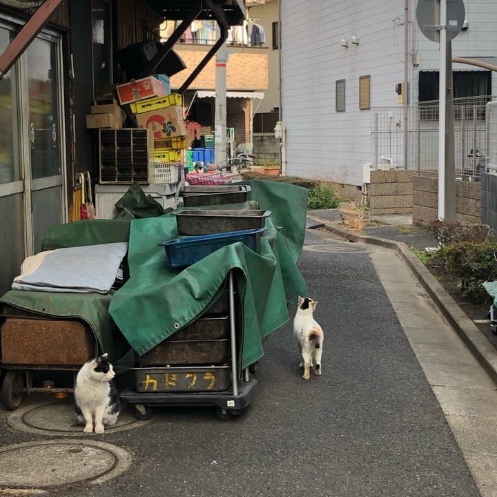 A2ccd9c7 4d9b 4966 a96a 135a14c8f04d 1617083078911