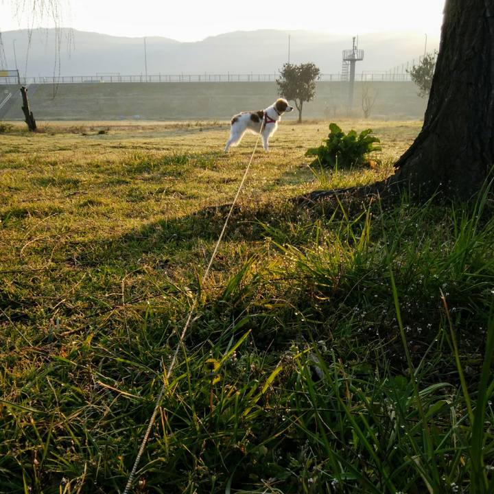 A2cd0305 c3d4 4207 8c52 bc0fa1b1e4ed 1551484932411