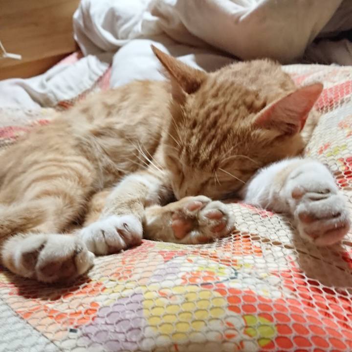 A2cd1342 45a3 4fc7 a822 d5636b32c4b7 1561121353310