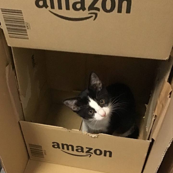 A2cd2d71 cda2 4a58 aab3 993f0e70b2e6 1627120298549