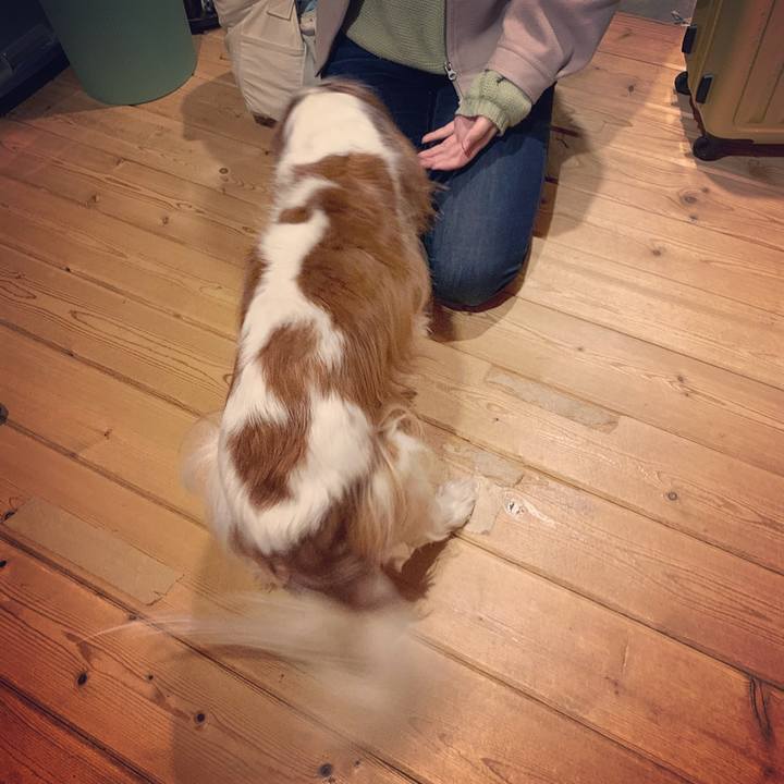 A2cd61d0 67b0 43e6 8ece b691637bb494 1577139818882