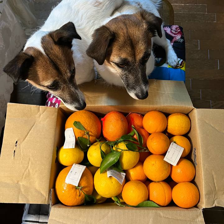 A2cd6e46 c8de 4f5f b1ae 26286bbb2d4d 1684064625828