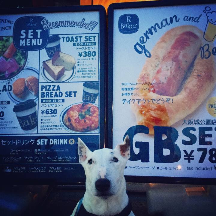 A2cd9c5e a03f 4d29 95dd 526a53aed9df 1524492356402