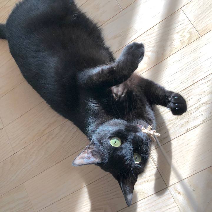 A2cdcce3 9518 4851 ac9e 6c527dead363 1560947228514