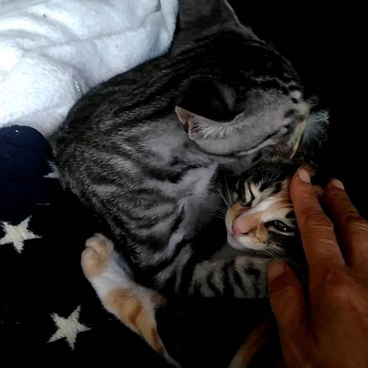 A2ce049b 9383 4326 9965 38c06a457fbe 1696026402256