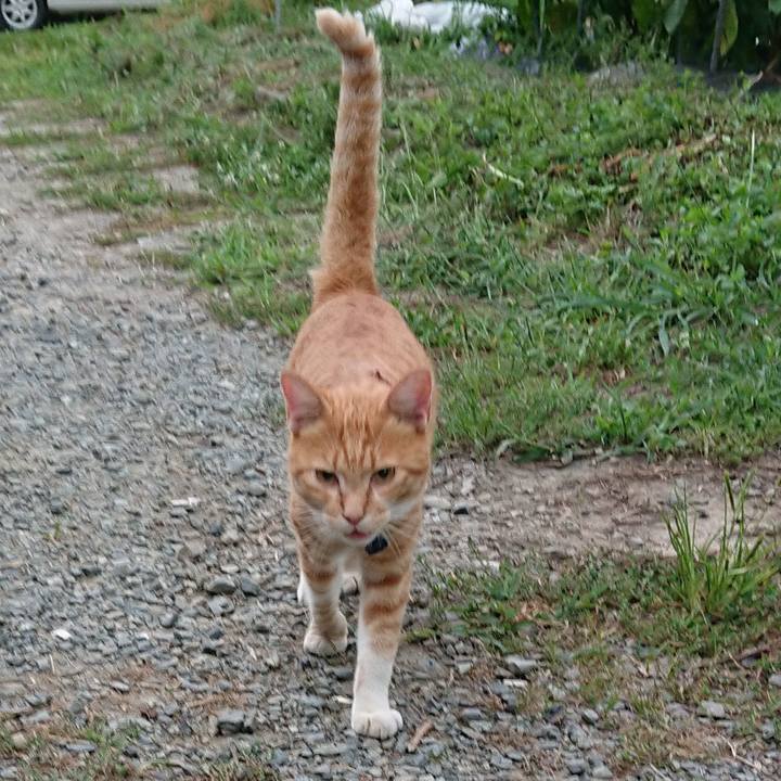 A2ce479c 2480 48ed 9f91 9440d7e8cec1 1565901030579