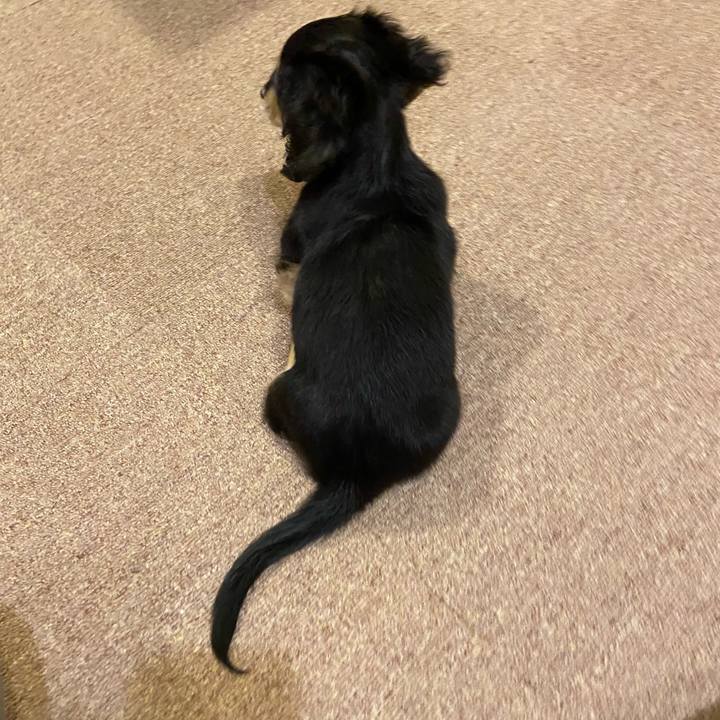 A2ce5316 01ba 4c66 8ebc 357ffc0e0211 1665062799474