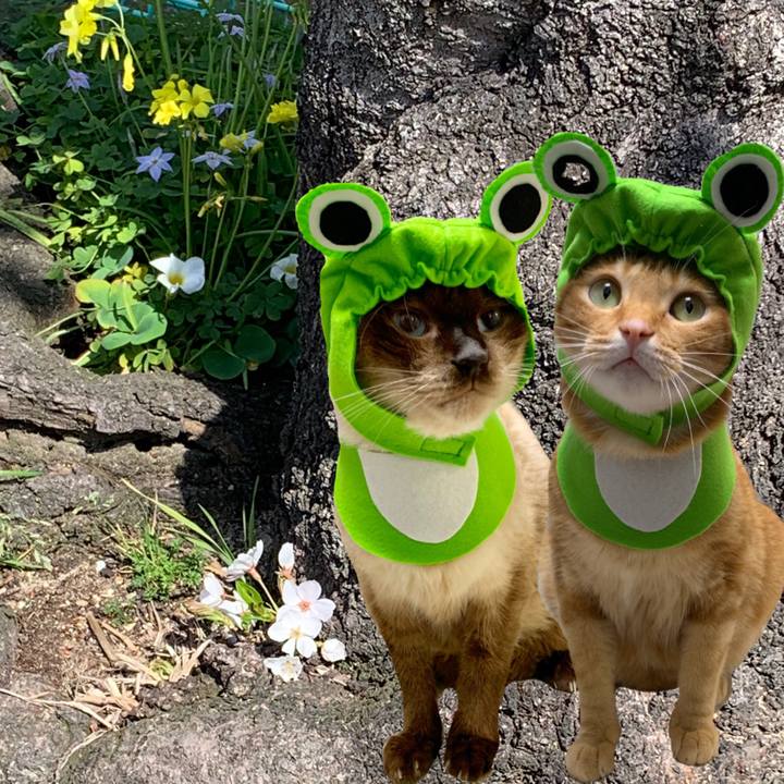 A2ceaec1 1317 414f 9023 a7c4c00c3c17 1616799487982