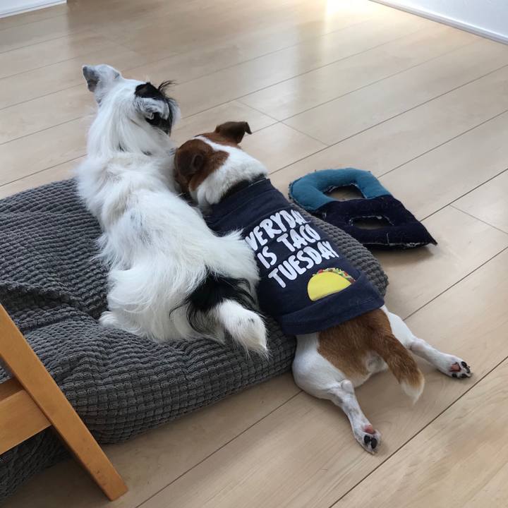 A2ceb288 5769 41e1 bb20 1c85b690b974 1537140699041