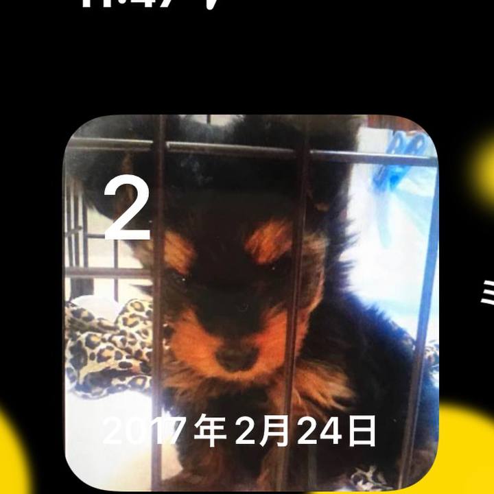 A2cebb75 7b5b 4bf4 8f85 58ae052d75ef 1646189273245