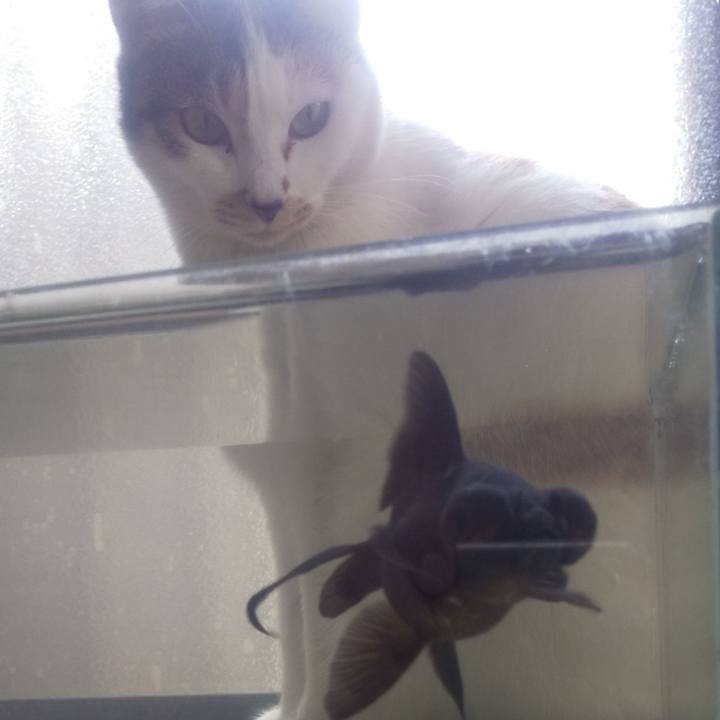 A2cec535 0008 4250 a53d 5e08010c3ffd 1680237098970