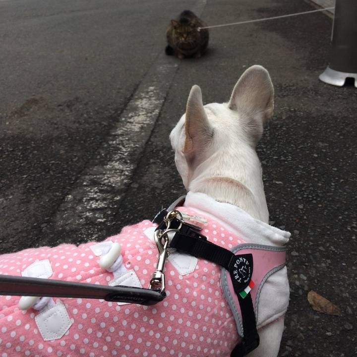 A2cef4c6 203d 4330 b831 bc49a9edeee7 1517738420060